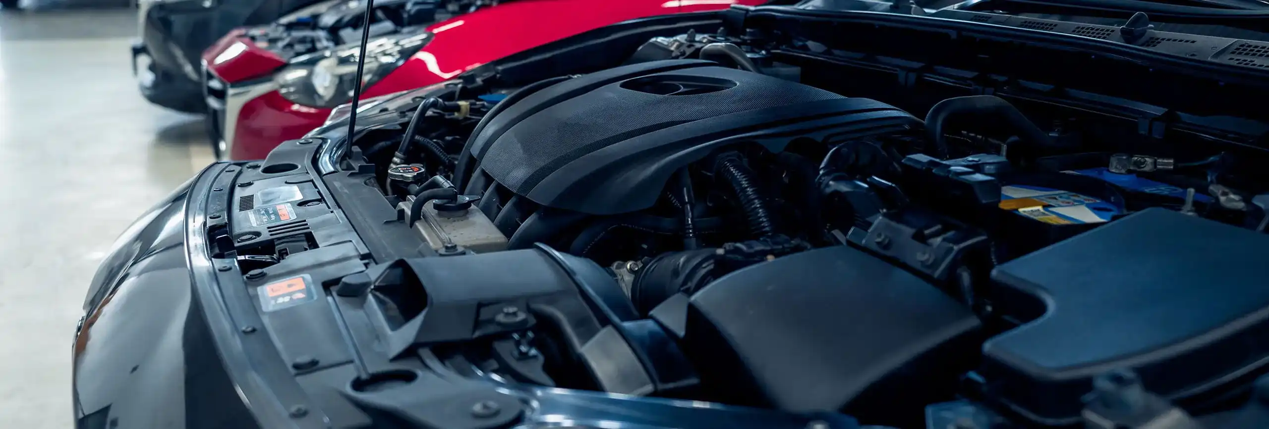 royal oak slider 011